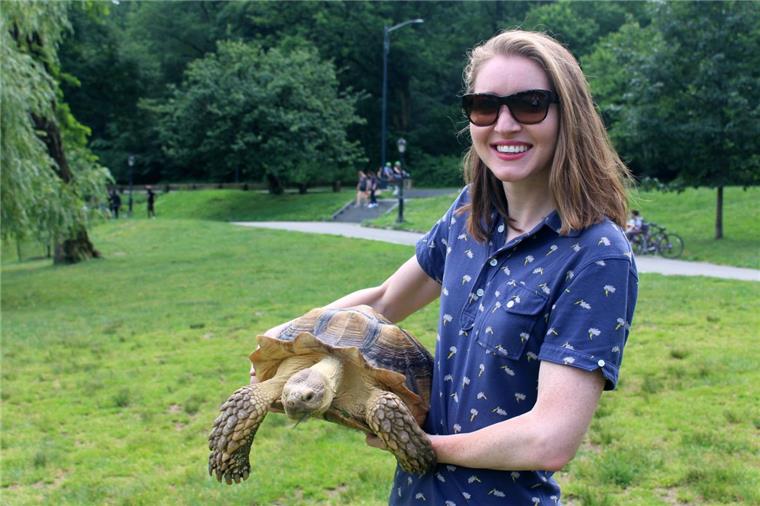 Diva mit Panzer: Schildkröte Henry ist Star im Central Park Amanda Green und ihre Spornschildkröte Henry ziehen im Central Park alle Blicke auf sich.