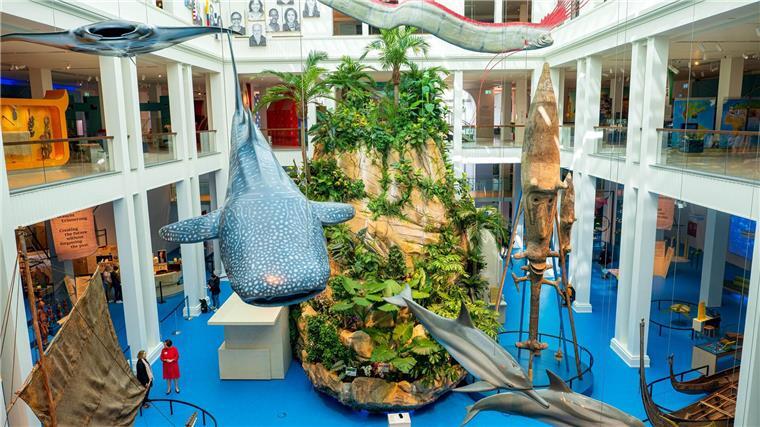 „Der blaue Kontinent“: Neue Pazifik-Ausstellung in Bremen Mitten im Museum ragt eine zehn Meter hohe, bepflanzte Insel empor.