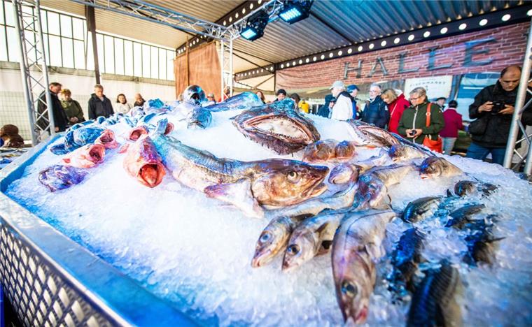 Spektakel um Lachs und Co.: Eindrücke von der Fischparty in Bremerhaven Wie auch in den Jahren zuvor erfreut sich das Fischbett mit einer Vielzahl von ausgestelltem Meeresgetier regen Besucherandrang. Foto: Hartmann