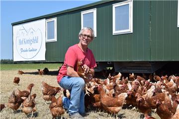 1500 Hühner hält Andreas Speckels-Suhren auf dem Hof Königsfeld in einem mobilen Hühnerstall. Vor drei Jahren hat er mit 350 Hühnern angefangen.