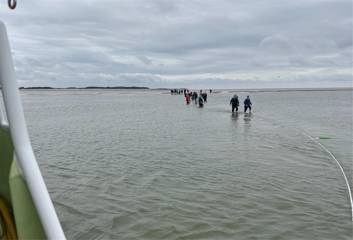 Drama bei Nordsee-Wattwanderung: Starke Strömung wird für 25 Menschen zur Falle Mehrere Menschen schreiten durch das Watt, während dsa Wasser langsam steigt.
