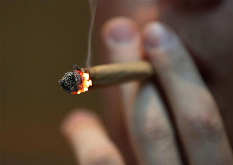 314 Menschen kamen im vergangenen Jahr zur Beratungsstelle Rose 12. Davon gaben 69 an, Cannabis zu konsumieren.