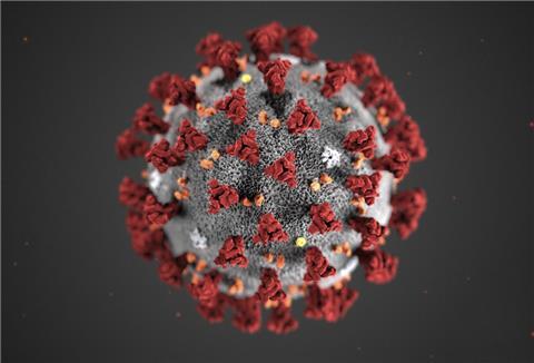 462 Menschen sind in der Wesermarsch aktuell mit dem Virus infiziert.