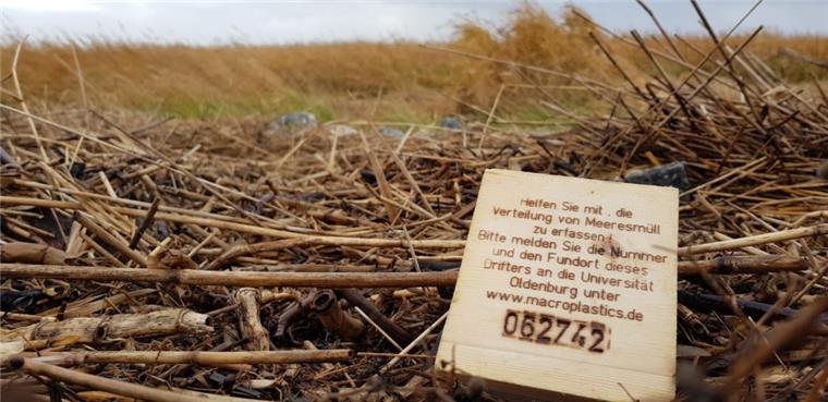 Wurster Nordseeküste: Forscher simulieren Weg von Plastikmüll 65 000 solcher Holzplättchen – wie hier an der Wurster Küste bei Dorum-Neufeld – haben Wissenschaftler zusammen mit Helfern in Flüssen und der Nordsee ausgebracht. Ihre Fundorte sollen Aufschluss über Ausbreitungswege von Plastikmüll liefern.