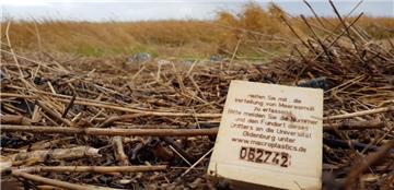 65 000 solcher Holzplättchen – wie hier an der Wurster Küste bei Dorum-Neufeld – haben Wissenschaftler zusammen mit Helfern in Flüssen und der Nordsee ausgebracht. Ihre Fundorte sollen Aufschluss über Ausbreitungswege von Plastikmüll liefern.