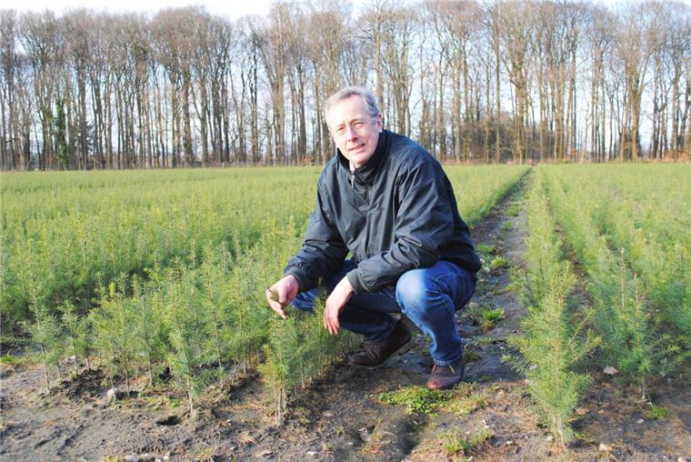 70 verschiedene Pflanzenarten, die auf einem Gelände von insgesamt 72 Hektar wachsen, werden in dem Betrieb produziert. Firmeninhaber Christian Lürßen hat den landwirtschaftlichen Betrieb seines Vaters 1984 auf eine reine Forstpflanzenproduktion umgestellt.