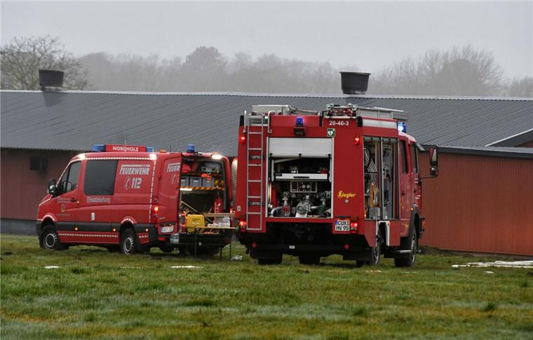 80 Einsatzkräfte der Freiwilligen Feuerwehr kämpften vergangene Woche gegen die Flammen in einem Mastbetrieb in Nordholz.
