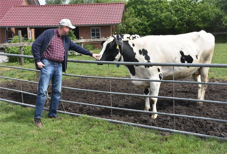 Hof Kaiser stellt auf Bio: Ab Juli pesen die Kühe über die Weide Das Foto zeigt Jan Kaiser mit einer Kuh auf der Weide.
