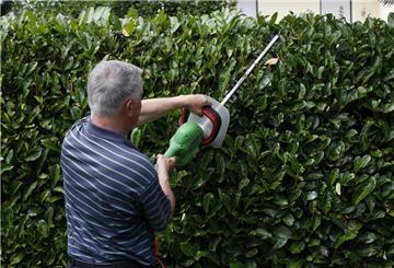 Ein Mann schneidet die Hecke.