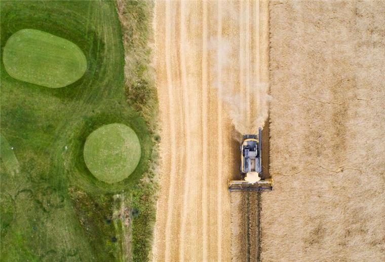 PRODUKTION - «Wasser wird immer knapper, wir haben keinen gesunden Boden mehr»: Landwirt Benedikt Bösel. Foto: Patrick Pleul/dpa
