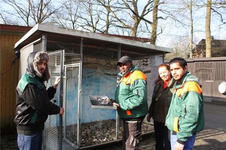 Abdalrahman, Khalif, Margrit Reinhardt und Abdulrahman (von links) bringen den Vögeln in der Papageienstation das tägliche Frühstück.  Foto Gehrke
