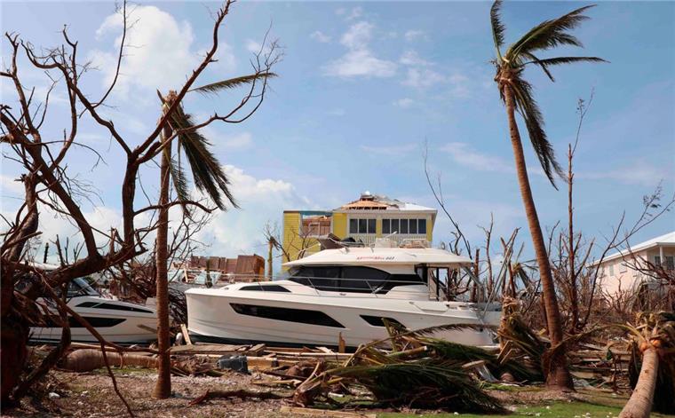 Abgeknickte Bäume und Palmen stehen an einem zerstörten Hafen in Marsh Habour auf den Bahamas.

