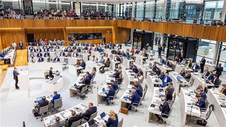Abgeordnete nehmen im Plenarsaal an einer Sitzung des niedersächsischen Landtags teil.