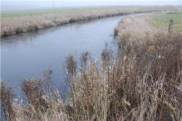 Abgetrennt vom Hauptfluss, droht die  alte Geeste zwischen Spaden  und Schiffdorf zu verlanden. Der Angelsportverein Spaden wollte sie naturnah ausbauen. Doch das Projekt scheiterte.  