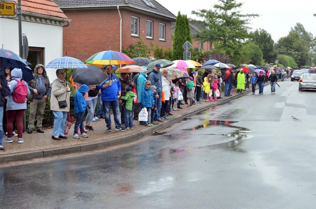 Abwechslungsreicher Festumzug in Dedesdorf: Bei manchen Festwagen stand die kuns...