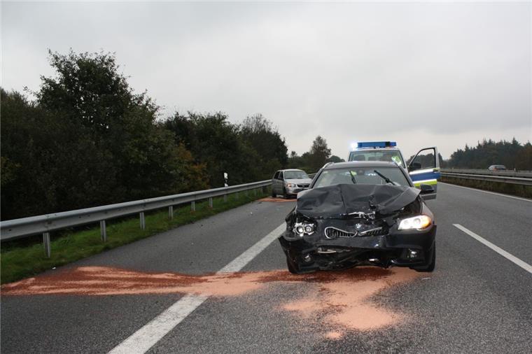 Acht beschädigte Fahrzeuge, vier leicht verletzte Personen, ein davon gelaufener Hund und ein verschrecktes Pferd - das ist die Bilanz von zwei Unfällen auf der A27 am Donnerstag.