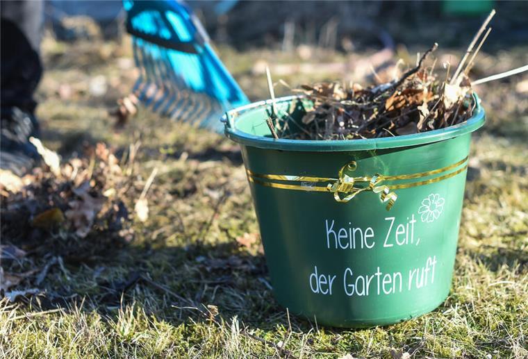 Teure Verbote im Garten: Diese Regeln sollten Gartenbesitzer kennen In einem Garten wird Laub geharkt und ein Eimer damit befüllt.