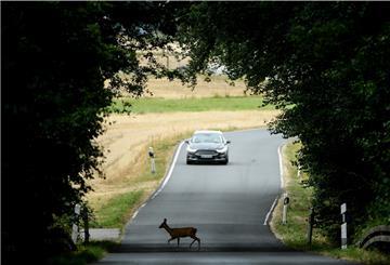 Ein Auto fährt auf der Straße und ein Reh überquert die Straße.
