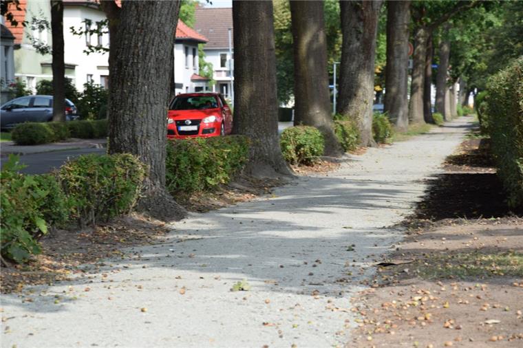 Ähnlich wie hier an der Nordenhamer Hansingstraße sollen zukünftig gefährliche Stolperfallen beseitigt werden.