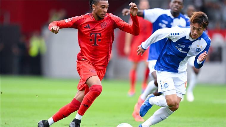 Eberl: „Bayern hat keine Trainingsgruppe zwei“ Aktivposten und Torschütze: Neuzugang Michael Olise (l).