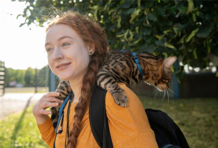 Instagram-Trend: Katzen an der Leine - Harmlos oder Gefahr fürs Tierwohl? Aktuell werden immer mehr Katzen an der Leine durch Großstadtstraßen geführt. (Archivbild)