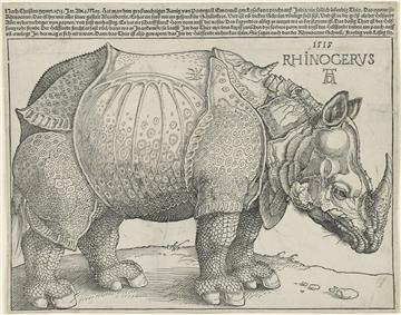 Albrecht Dürer fertigte seinen Holzschnitt „Rhinocerus“ (1515) nach dem Bericht eines Augenzeugen an. Doch der hatte wohl nicht so genau hingeschaut. Denn Nashörner haben kein Horn auf der Schulter und auch keinen Panzer.