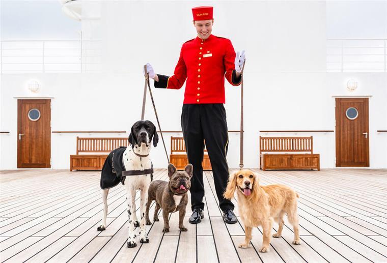 Platz zum Spielen und eine eigene Lounge für die Tierhalter: Hunde können an Bord der «Queen Mary 2» mitreisen. 