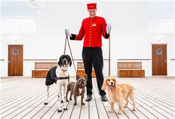Platz zum Spielen und eine eigene Lounge für die Tierhalter: Hunde können an Bord der «Queen Mary 2» mitreisen. 