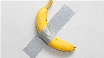 Alle zwei bis drei Tage wird die Banane ausgetauscht. 