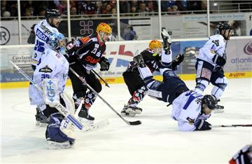 Fischtown Pinguins