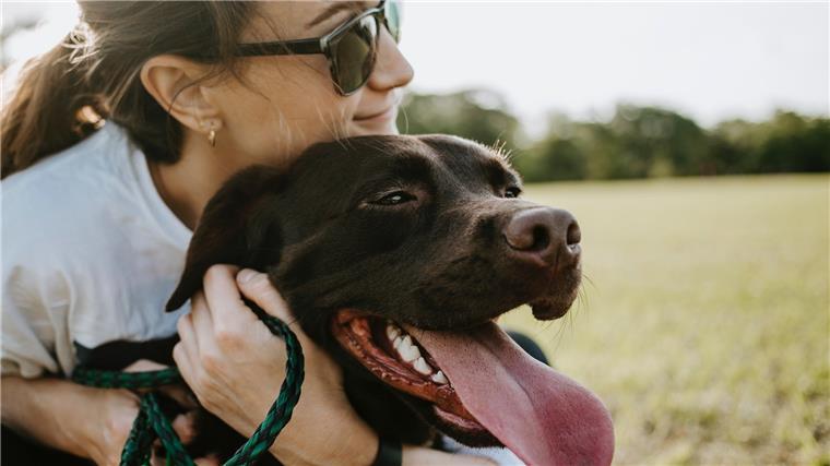 Mehr Kosten für Tierhalter: Nun wird auch der Tierarzt teurer Alles wird teuer - auch der Tierarzt: Werden nun Besitzer von Hunden und Katzen den Besuch aus Kostengründen vermeiden? Das hätte laut Experten schlimme Folgen.