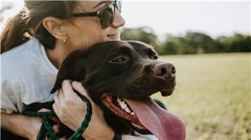 Alles wird teuer - auch der Tierarzt: Werden nun Besitzer von Hunden und Katzen den Besuch aus Kostengründen vermeiden? Das hätte laut Experten schlimme Folgen. 