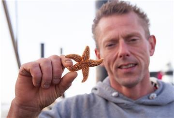 Als dem Beifang der Krabbentouren im Wattenmeer fertigt Decksmann Sven de Grot Andenken für Urlauber.