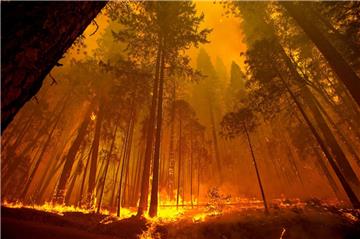 Als Verursacher eines großen Waldbrandes ist ein Hausbesitzer  in Kalifornien angeklagt worden.  Er soll  nun die Kosten von fast 25 Millionen Dollar übernehmen. 