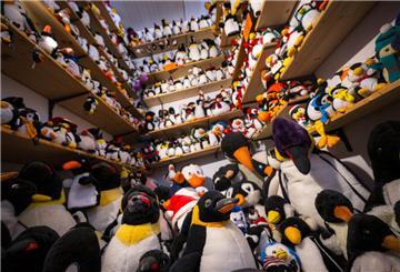 04.10.2024, Niedersachsen, Cuxhaven: Das Pinguin-Museum Cuxhaven. Am 2. November stellt das Museum, das laut eigenen Angaben die weltgrößte Sammlung von Pinguinfiguren besitzt, den Betrieb ein. Aus diesem Anlass wird ein großer Teil der Sammlung nun verkauft. Foto: Sina Schuldt/dpa +++ dpa-Bildfunk +++