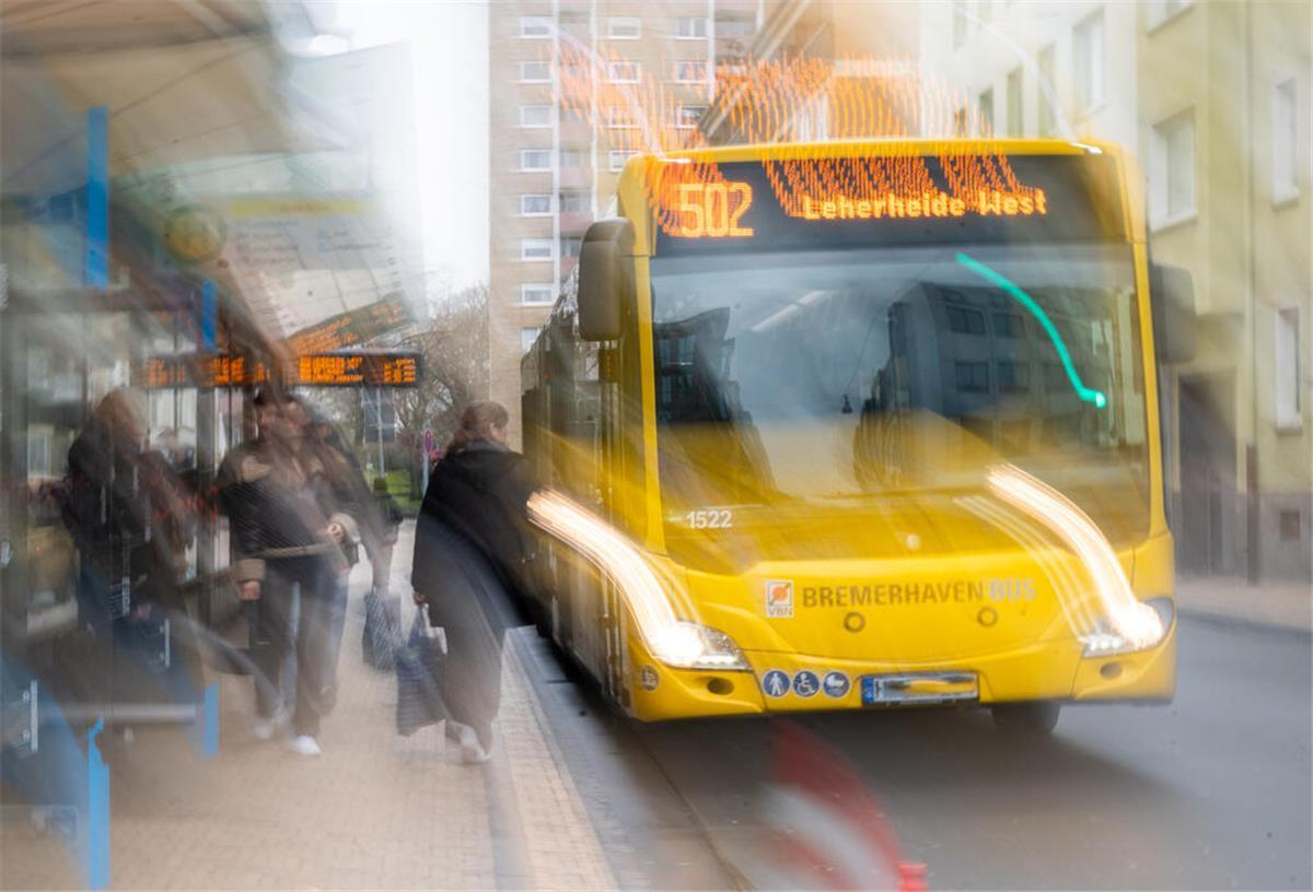 Bus