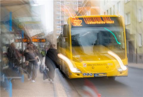 Bus