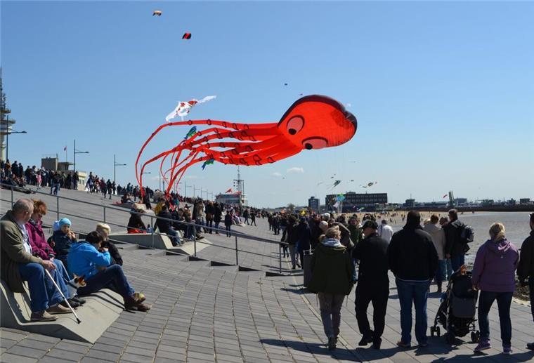 Ein Drachen am Deich in Bremerhaven.