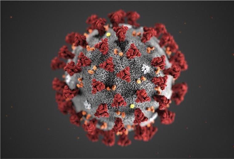 Corona: RKI meldet über 900 Todesfälle Am Dienstag meldet das RKI über 900 Todesfälle in Zusammenhang mit dem Coronavirus.