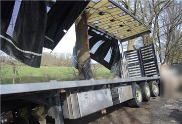 Am Dienstag verunglückt ein Tiertransporter an der Bundesstraße B 74. 2.500 Hühner sterben.