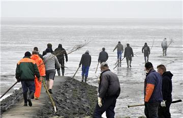 Am Dorumer Kutterhafen (Wurster Nordseeküste) trafen sich 30 Helfer zum Prickenstecken.