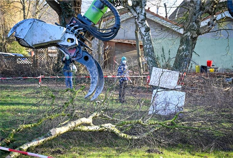 Am Freitag sind zwischen Gauß- und Wurster Straße drei Bäume gefällt worden.