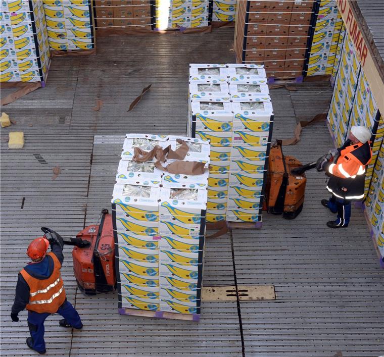 Chiquita schickt keine Container mehr nach Bremerhaven Am Fruchtterminal in Bremerhaven gibt es seit Jahresbeginn keine Chiquita-Bananen (Archivfoto) mehr.