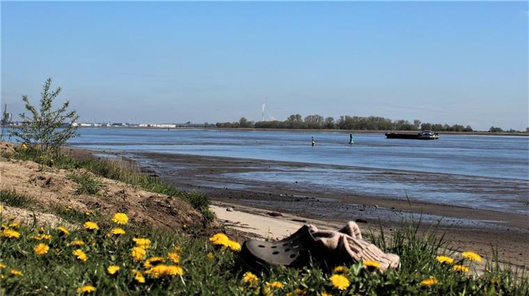 Am Kleinensieler Strand wird es bald einen abgezäunten Bereich für Hunde und ihre Halter geben. 