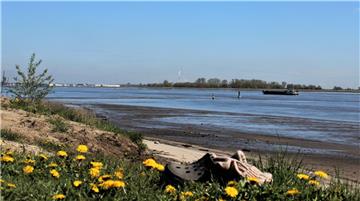 Am Kleinensieler Strand wird es bald einen abgezäunten Bereich für Hunde und ihre Halter geben. 