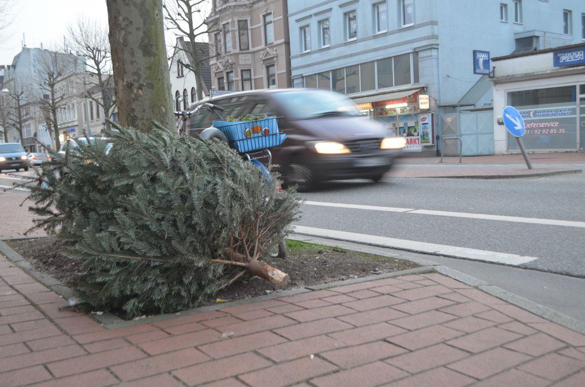 Bremerhaven: Dann werden die Weihnachtsbäume abgeholt Am Samstag, 11. Januar, werden die Tannenbäume in Bremerhaven nördlich der Geeste abgeholt.