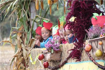 Am Samstag, 12. Oktober, sollen wieder viele bunt geschmückte Erntewagen durch Tarmstedt rollen.