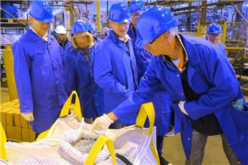 Am Sonnabend schauten sich rund 800 Besucher auf dem Werkgelände um. Hier wird gerade das fertige Zinkgranulat begutachtet.
