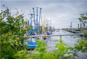 Symbolbild vom Kutterhafen in Dorum-Neufeld. Foto: Hartmann