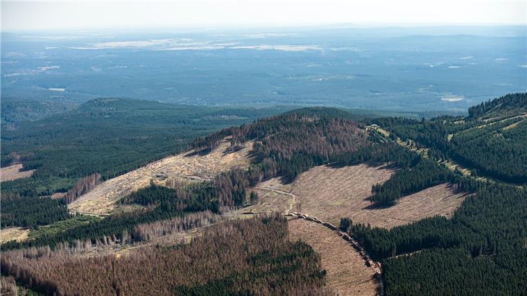 Unternehmen weitet Rohstoffsuche in Südniedersachsen aus Am westlichen Harzrand soll nach den Rohstoffen gesucht werden (Archivbild).
